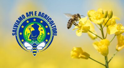 FLOWER BOMB CHALLENG: SALVIAMO LE API E COLORIAMO L’EUROPA DI FIORI