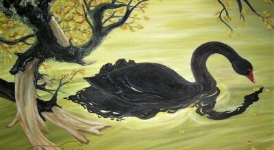 MESSAGGIO DEL DIRETTORE GENERALE DELL’UFFICIO SCOLASTICO DELLA REGIONE EMILIA ROMAGNA AGLI STUDENTI – “CIGNI NERI”